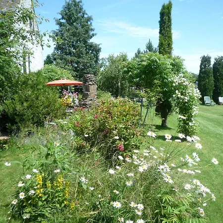 Beautiful And Authentic Cottage, Cleaning Included Holiday home Houffalize