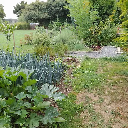 Beautiful And Authentic Cottage, Cleaning Included